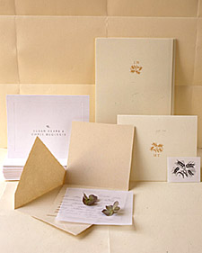 bd0607_summer1.jpg