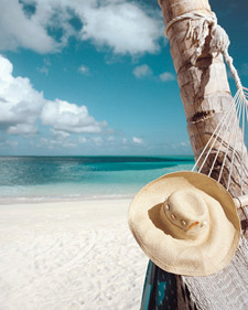 bd0607_summer1.jpg